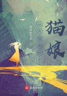 Cat Lady from Heaven