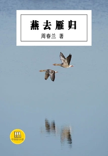 The Swallows Leave and the Wild Goose Returns (a Good Chinese Novel)