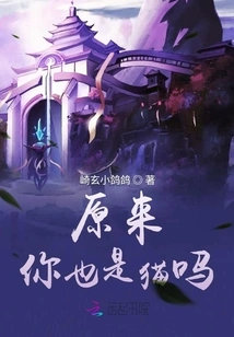 So You Are Also a Cat?