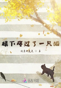 A Cat Passed by Downstairs