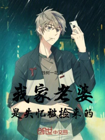 My Wife Was Picked up Because She Lost Her Memory