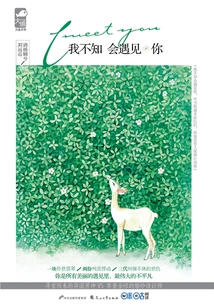 I Didn't Know I Would Meet You