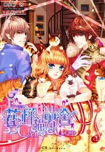 Fancy Cat Men's House