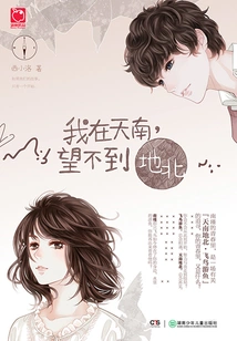 I Am in the South of the Sky and Cannot See the North of the Earth