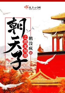 Don't Use Chao Tianzi's Hidden Dragon