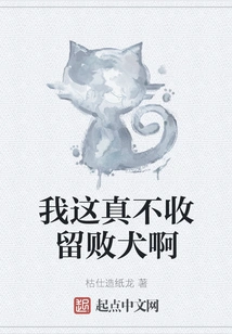 I Really Don't Accept Losers