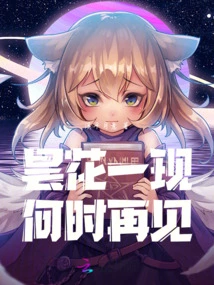 A Flash in the Pan, When Will We See You Again?