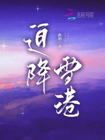 Crash Landing in Snow Port