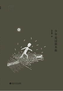 The Boy Walked Through Bluewood Street