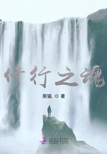 The Soul of Practice