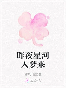 Last Night the Stars Came into My Dream