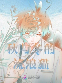 Stray Cats in Autumn and Winter