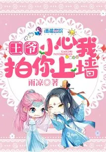 Prince, Be Careful, I'll Slap You on the Wall