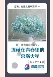 A Bunch of Gypsophila Buried in Youth