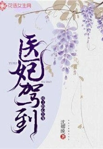 The Doctor's Concubine Arrives: the Crippled King's Favorite