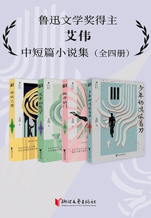 Collection of Short Stories by Ai Wei (set of 4 Volumes)