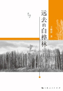 The Distant Birch Forest