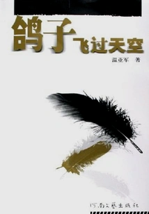 Pigeons Flying Across the Sky