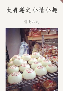 Little Love and Fun in Greater Hong Kong (thousands of Douban High-scoring Original Works·in a Foreign Land)