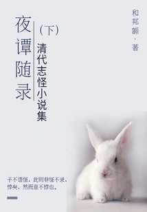 Collection of Strange Novels: Night Stories (part 2)