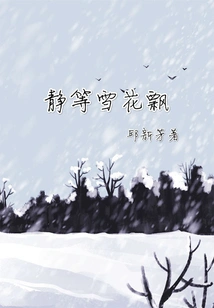 Waiting for the Snowflakes to Fall