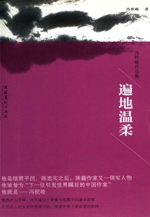 Tenderness Everywhere (collection of Works by Feng Jiqi)