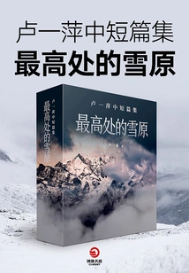 Collection of Short and Medium Stories by Lu Yiping: the Snowfield at the Highest Point