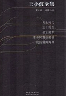 The Complete Works of Wang Xiaobo (volume 6)