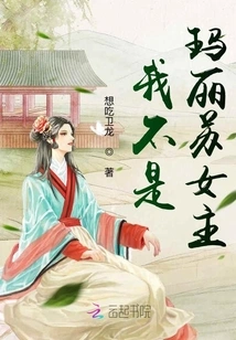 I'm Not a Mary Sue Heroine