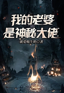 My Wife is a Mysterious Boss