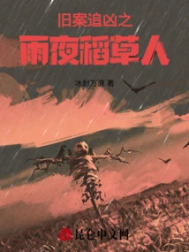 The Scarecrow on a Rainy Night in an Old Case