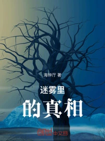 The Truth in the Fog