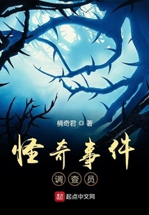 Strange Incident Investigator