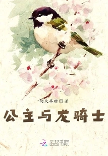 The Princess and the Dragon Knight