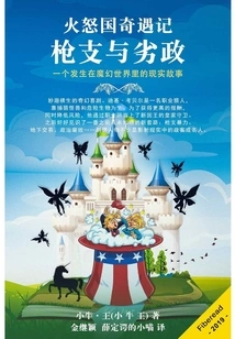 The Furious Nation: Guns and Bad Government