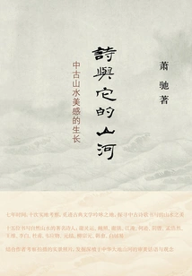 Poetry and Its Mountains and Rivers: the Growth of Medieval Landscape Aesthetics (new Theory of Literature and History)