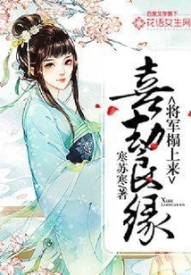 Happy Marriage: the General Comes to the Couch