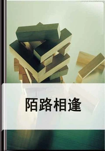 Meeting by Strangers