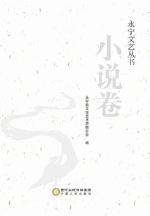 Yongning Literature and Art Series Novel Volume