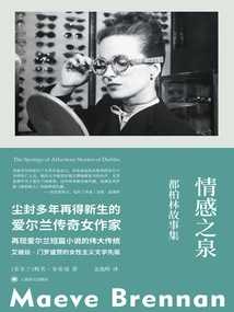 Fountains of Emotion: Dublin Stories