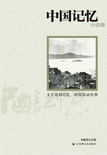 Chinese Memory·novel Volume 1