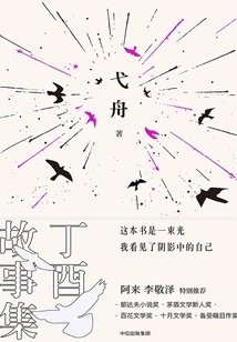 Ding You's Story Collection