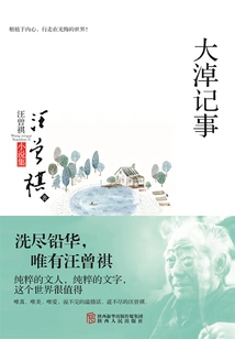 Chronicles of Da Nao (wang Zengqi's Novels)