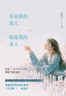 You Are My Enemy, You Are My Lover