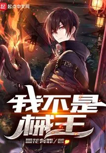 I'm Not a Weapon King