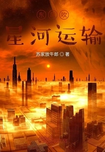 Turbulence of the Galaxy