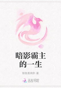 The Life of the Shadow Overlord