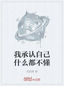 I Admit That I Don't Understand Anything