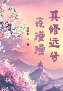 The Night is Long and the Repair is Far Away