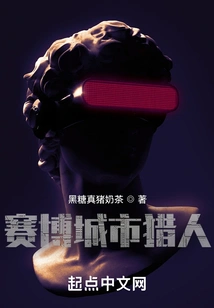 Cyber ​​city Hunter